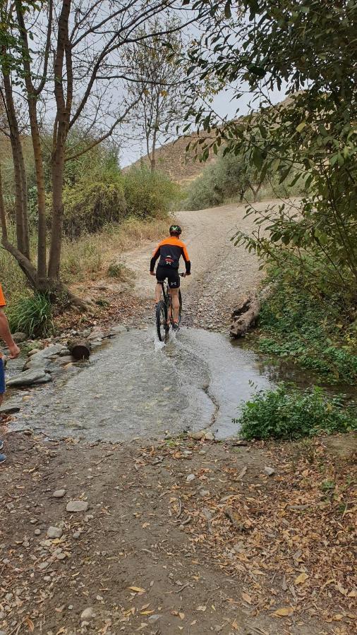 La Colina Ladyblue Apto Acogedor Cerca De Sierra Nevada Y Alhambra ثينيس ذي لا فيغا المظهر الخارجي الصورة