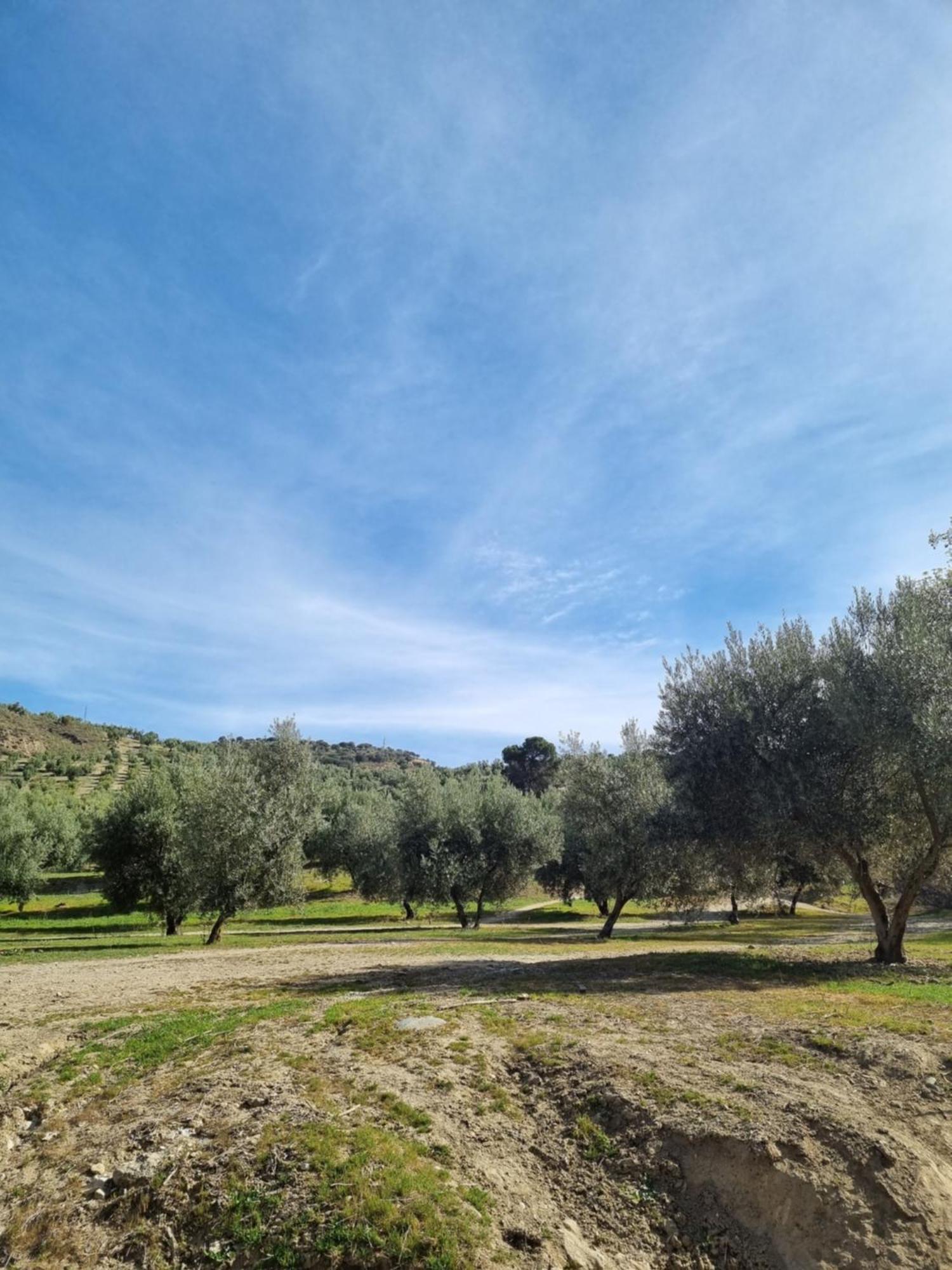 La Colina Ladyblue Apto Acogedor Cerca De Sierra Nevada Y Alhambra ثينيس ذي لا فيغا المظهر الخارجي الصورة