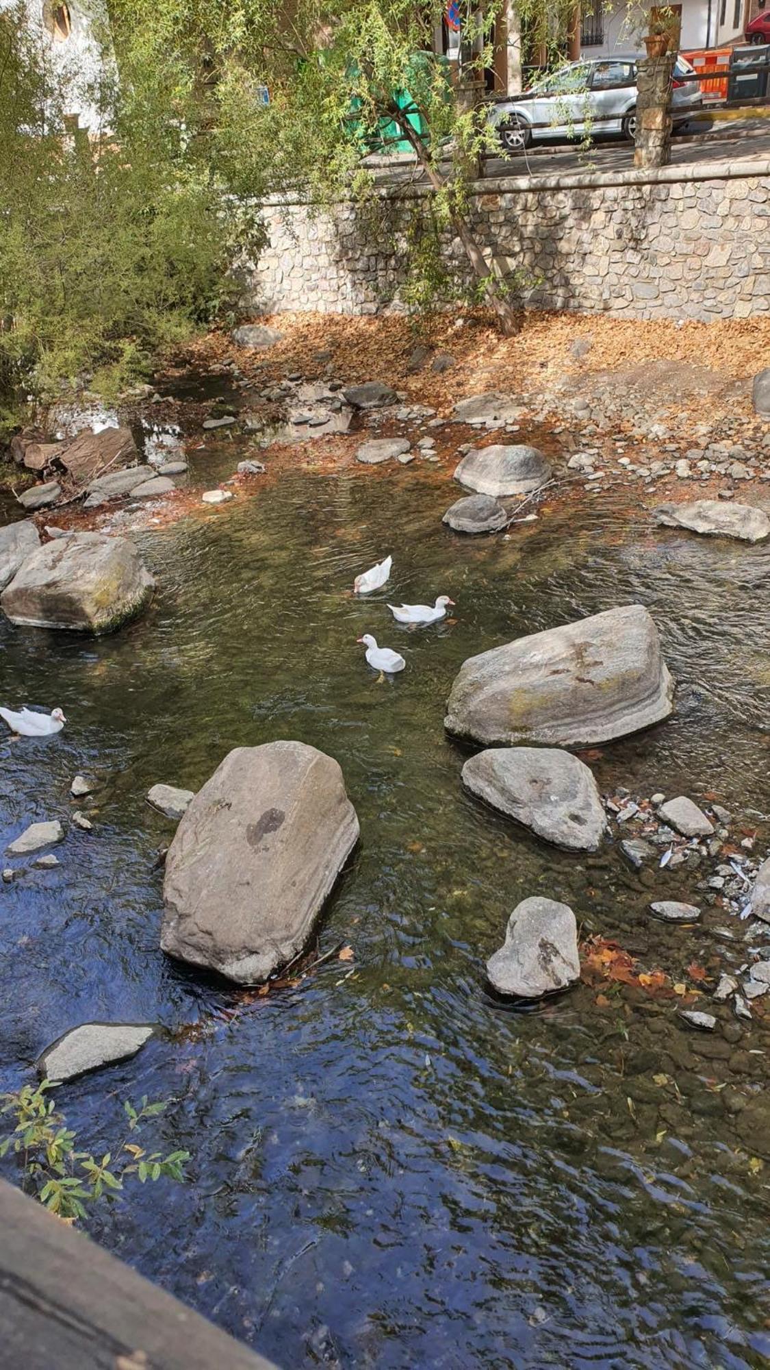 La Colina Ladyblue Apto Acogedor Cerca De Sierra Nevada Y Alhambra ثينيس ذي لا فيغا المظهر الخارجي الصورة
